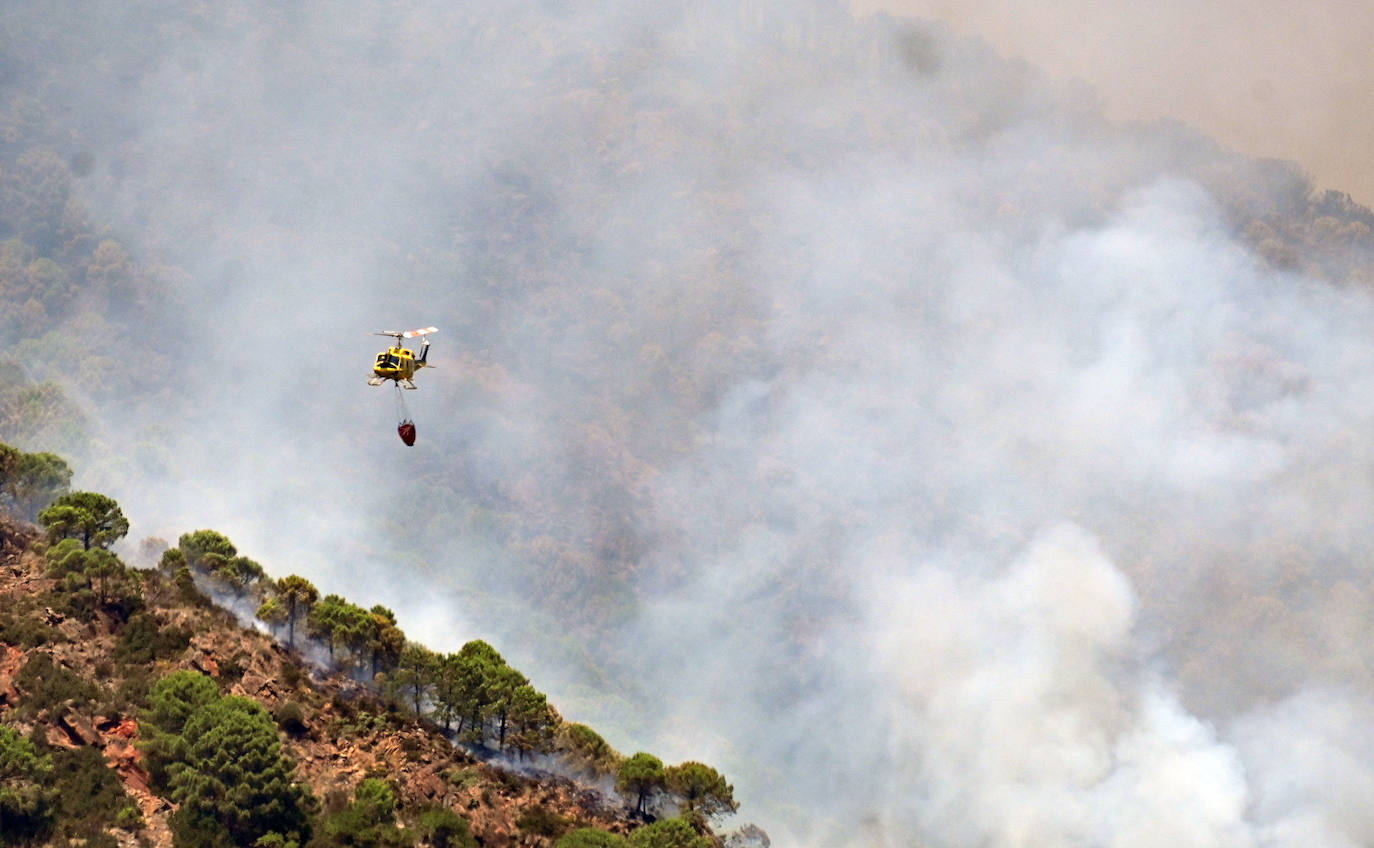 Este sábado se han movilizado 41 medios aéreos y unos 400 efectivos por tierra para luchar contra las llamas que no han afectado al pinsapar de la zona. Los nuevos desalojos elevan a 1.054 el número total de evacuados