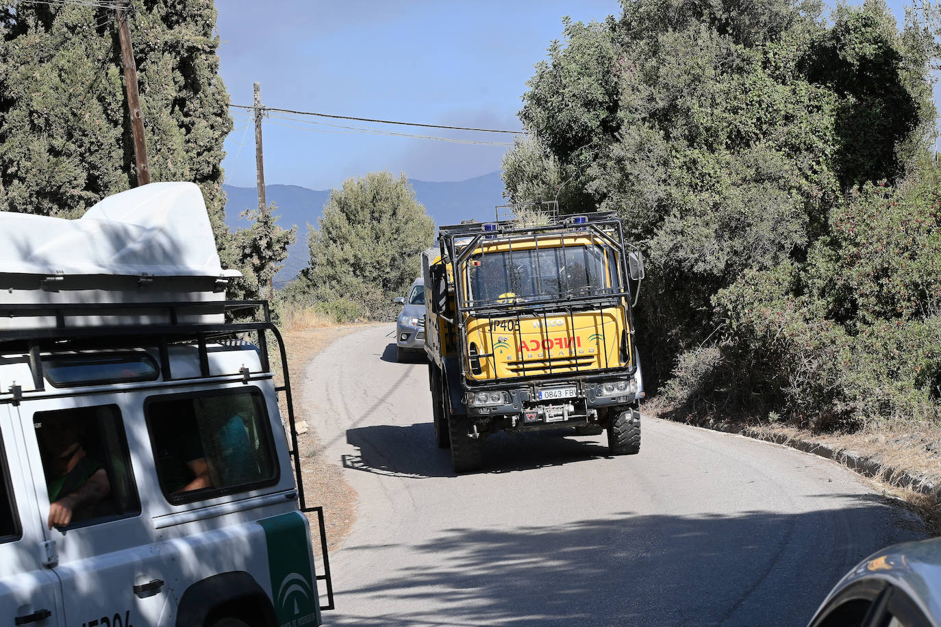 Este sábado se han movilizado 41 medios aéreos y unos 400 efectivos por tierra para luchar contra las llamas que no han afectado al pinsapar de la zona. Los nuevos desalojos elevan a 1.054 el número total de evacuados