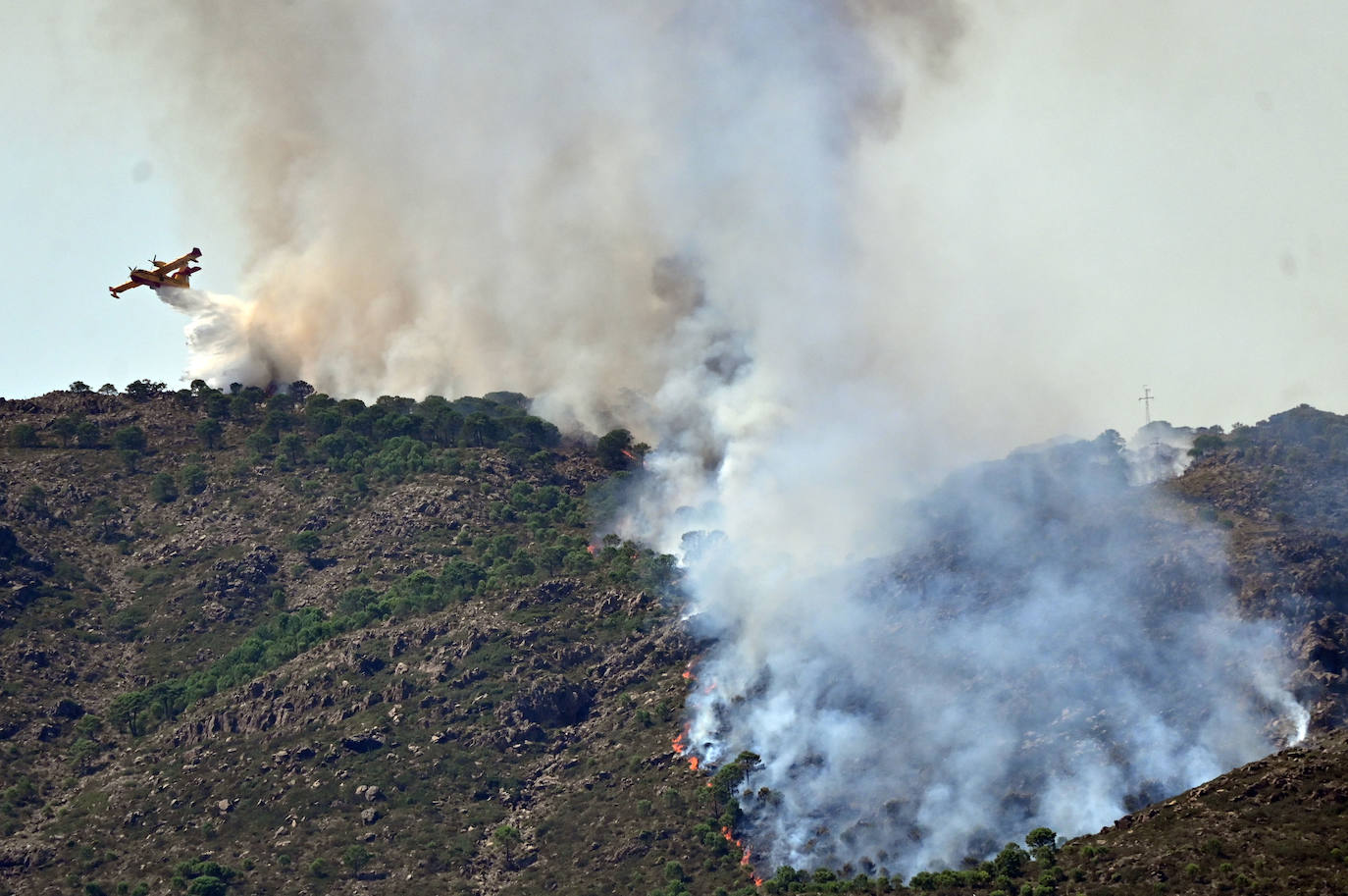 Este sábado se han movilizado 41 medios aéreos y unos 400 efectivos por tierra para luchar contra las llamas que no han afectado al pinsapar de la zona. Los nuevos desalojos elevan a 1.054 el número total de evacuados