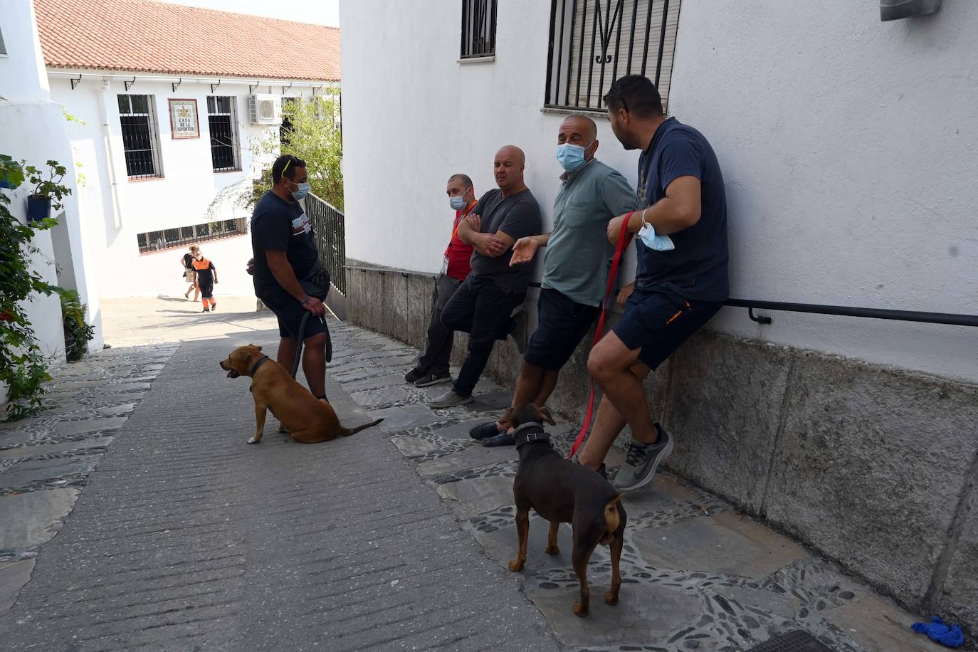 La situación del fuego obliga al desalojo de Alpandeire, Júzcar, Faraján y Pujerra, además de Jubrique y Genalguacil