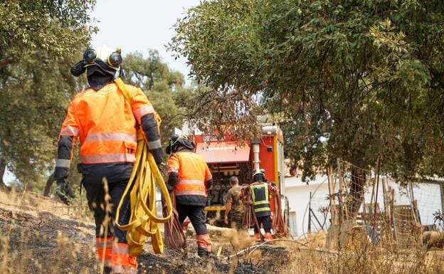 Más de 600 efectivos y medio centenar de aeronaves luchan este domingo contra el incendio de Sierra Bermeja