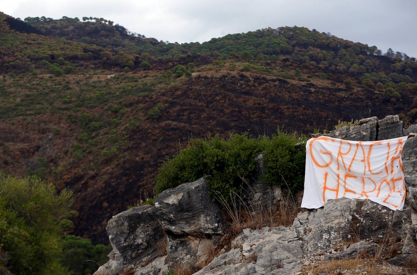 Las imágenes de la desolación tras quedar controlado el fuego en Sierra Bermeja. 