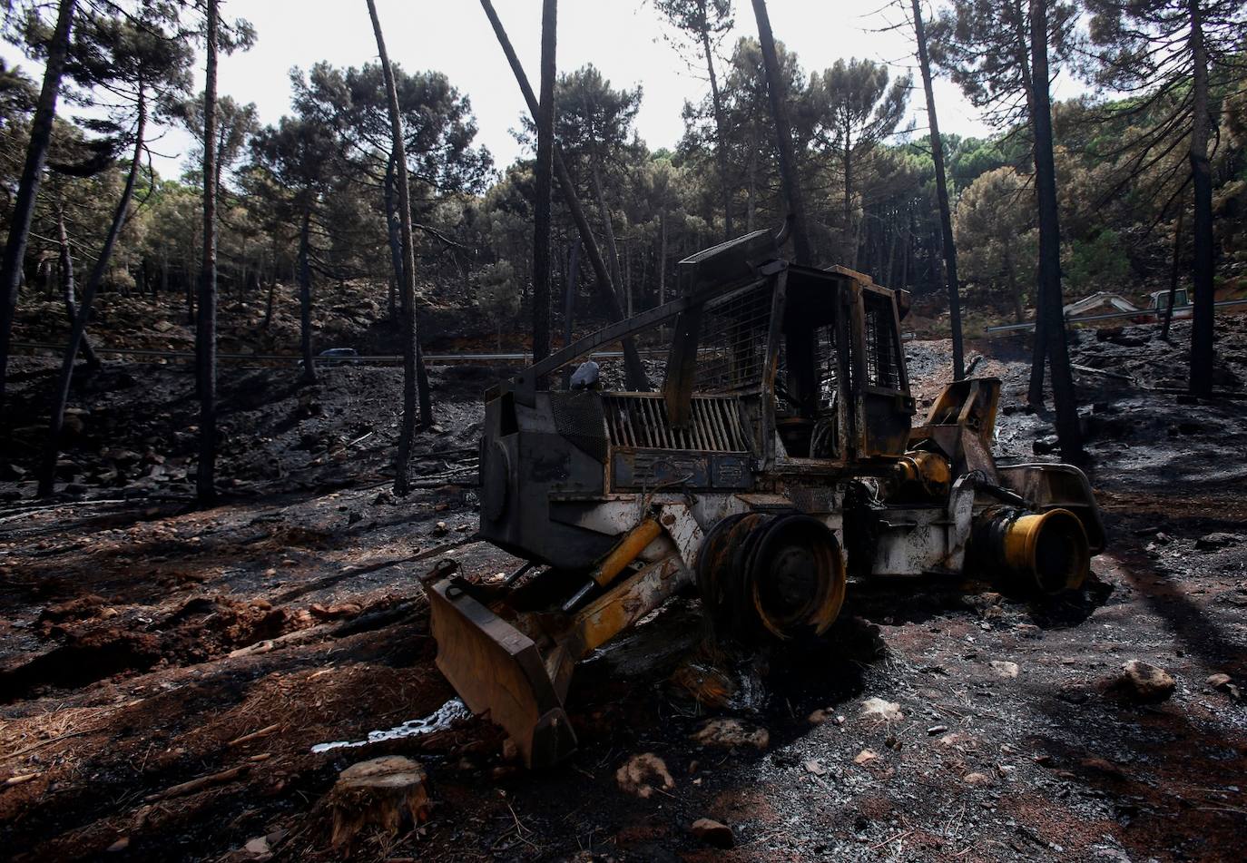 Las imágenes de la desolación tras quedar controlado el fuego en Sierra Bermeja. 