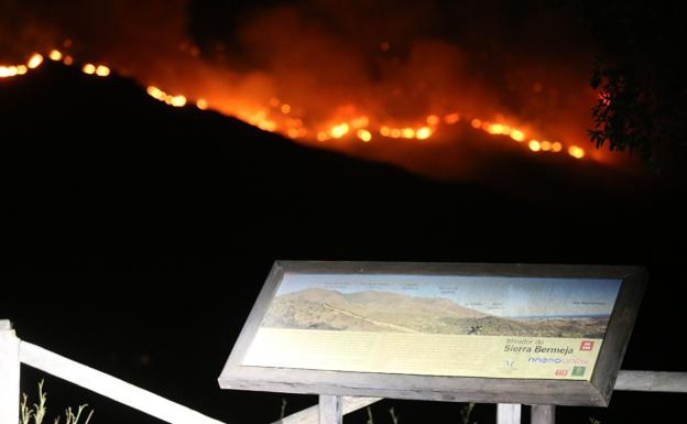 Incendio Málaga: Málaga espera que el Gobierno declare zona catastrófica por el incendio en Sierra Bermeja