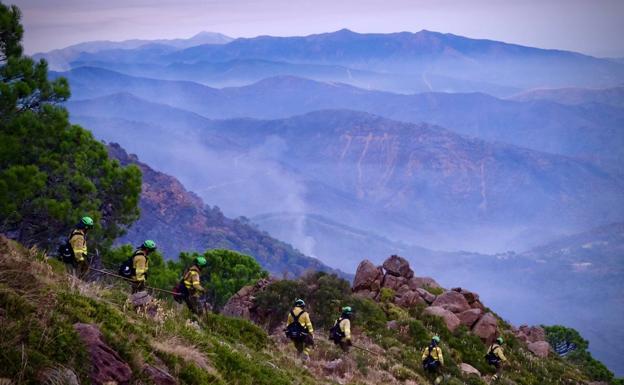 Efectivos del Infoca trabajando sobre el terreno afectado por las llamas. 