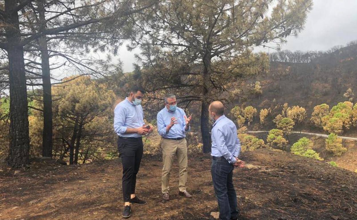 Los técnicos de la Diputación de Málaga ya trabajan para valorar los daños del incendio de Sierra Bermeja