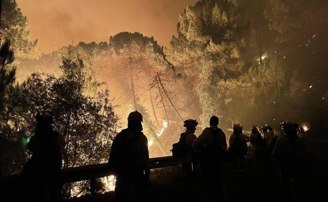 Bomberos forestales en el incendio. 