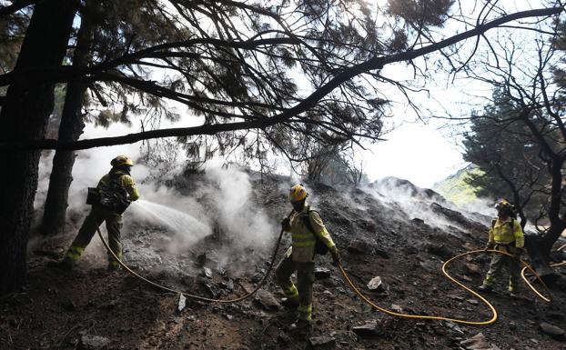 Galería. Un recorrido por la huella del incendio 