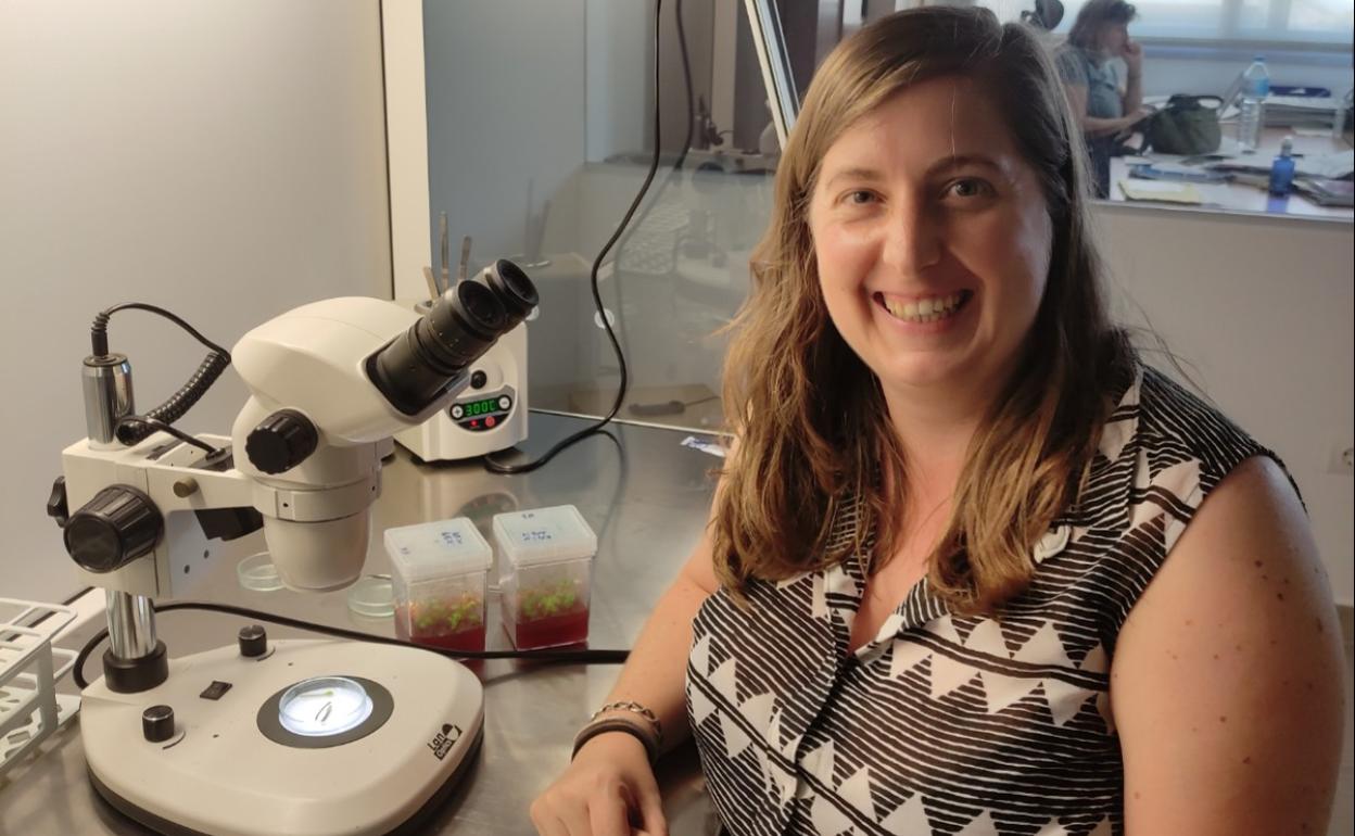 Lucía Cervantes, en la cabina de flujo laminar, donde se hace cultivo in vitro, de la empresa en la que trabaja, Viveros California. 