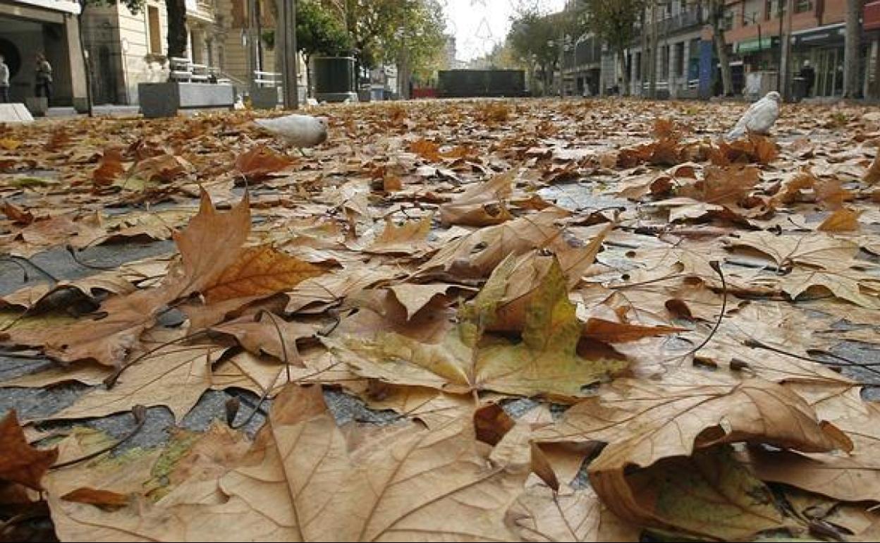 Previsión del Tiempo: Así será el tiempo este otoño en Andalucía: la previsión de los expertos