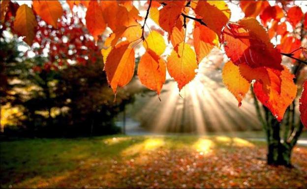7 datos curiosos de este otoño 2021
