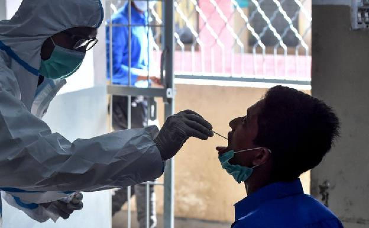 Coronavirus en Andalucía: Andalucía suma 521 contagios en un día y 14 muertes