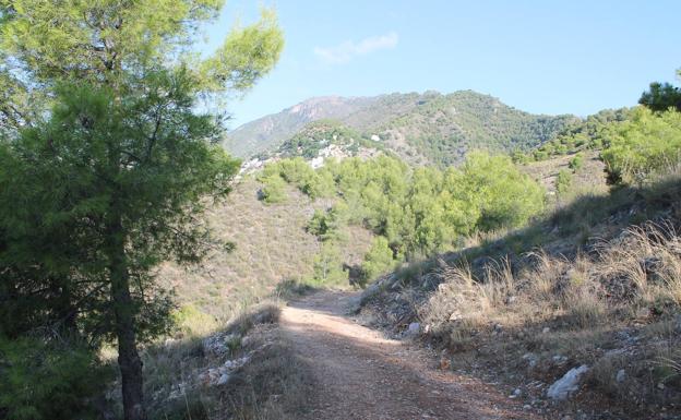 Imagen principal - Tramo de la ruta. Rutas. Vista panorámica de Frigiliana desde la ruta.Descenso hasta el río Higuerón.