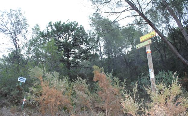 Imagen principal - 4. Lugar por donde se abandona el cauce del Higuerón. Vistas a la sierra de Almijara. 6. Señalética de la Gran Senda de Málaga.