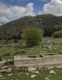 Imagen secundaria 2 - Vista panorámica del refugio del Cortijo de Líbar. Hay numerosos quejigos centenarios en el recorrido. Fuente de Líbar.