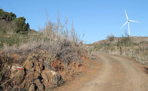 Imagen principal - Buena parte del recorrido discurre por el antiguo Camino de Colmenar. Así se ve Carratraca al avanzar por esta ruta. La ermita del Calvario ofrece una vista espectacular de Ardales.