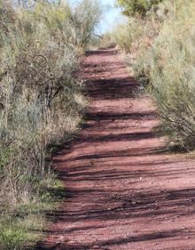 Imagen secundaria 2 - La vegetación es muy variada. Señales indicativas de la ruta tras el primer kilómetro de subida. El camino, pese a sus ascensos, es relativamente cómodo.