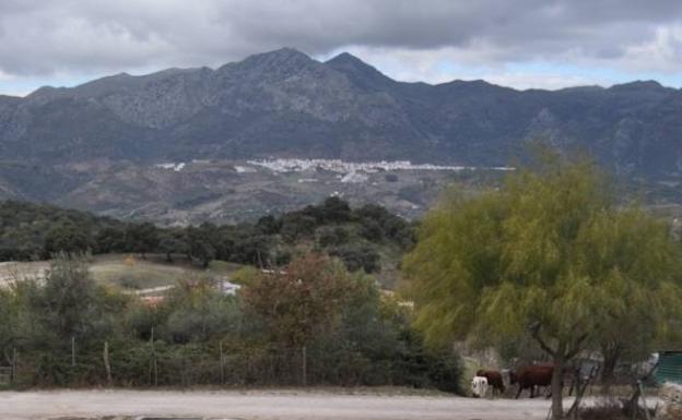 Imagen principal - Aldea de Siete Pilas. FOTO: Gran Senda de Málaga. Vista desde el casco urbano de Benalauría. Vista panorámica de Benalauría a primera hora de la mañana.