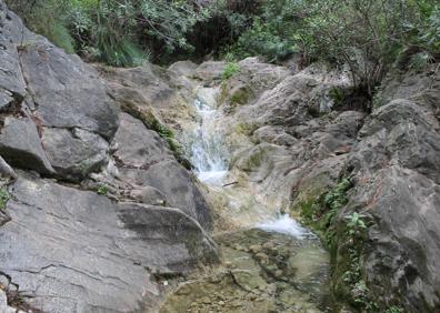 Imagen secundaria 1 - Restos de la ermita de los Monjes. Arroyo Guadalpín. La vegetación es espesa en sierra Blanca.