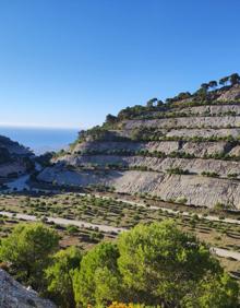 Imagen secundaria 2 - Cruce de caminos en el puerto de la Graja. Pino del puerto de la Graja. Cantera de los Arenales con el fondo del mar.