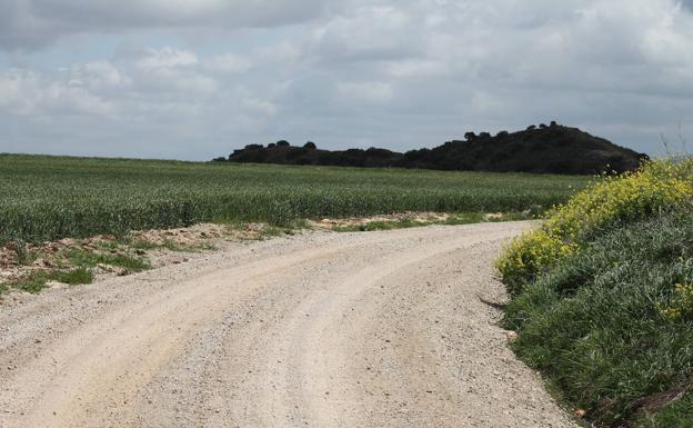 Imagen principal - Buena parte del recorrido es llano y discurre por carriles de tierra. En varias ocasiones habría que cruzar vías de cierto tránsito de vehículos. La primavera suele ofrecer la mejor cara de estas lagunas.