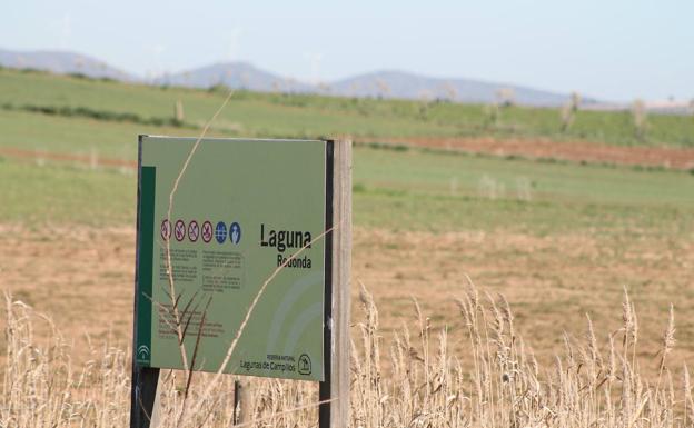 Imagen principal - Señalética de una de las lagunas. Flamencos en la Laguna Redonda. A lo lejos se ve la Laguna de Toro.