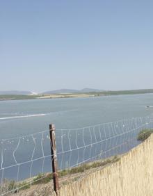 Imagen secundaria 2 - El inicio dela ruta está en el centro de visitantes José Antonio Valverde.Laguna vista desde uno de los observatorios habilitados. Desde el perímetro de las lagunas se pueden avisar algunas especies ornitológicas.