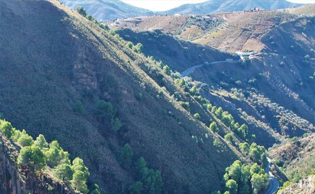 Imagen principal - Puente del Saltillo. Acequia por lo que hay pasar para llegar a Canillas de Aceituno. Señalética oficial de la etapa.