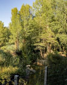 Imagen secundaria 2 - Poza en el Prado de la Escribana. El Genal ofrece en esta etapa algunos de sus rincones más espectaculares. Esta etapa incluye a la Ruta de las Pasarelas.