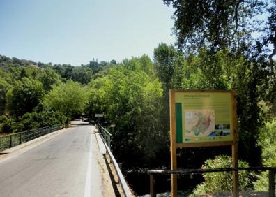 Imagen secundaria 1 - El Bajo Genal es una zona muy frondosa. Puente de San Juan. Buena parte del recorrido se hace en umbría.