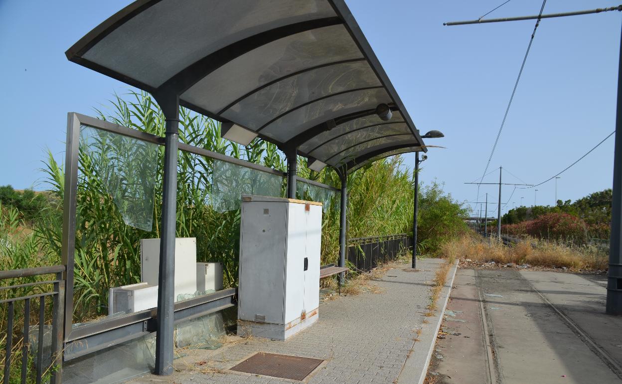 El tranvía, paralizado desde 2012, a su paso por la avenida Juan Carlos I en Vélez-Málaga. 