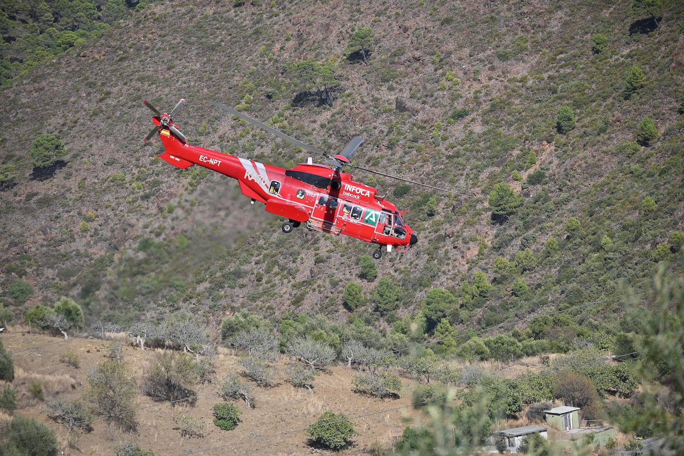 Incendio forestal en el paraje Sierra Blanca, en Ojén. 