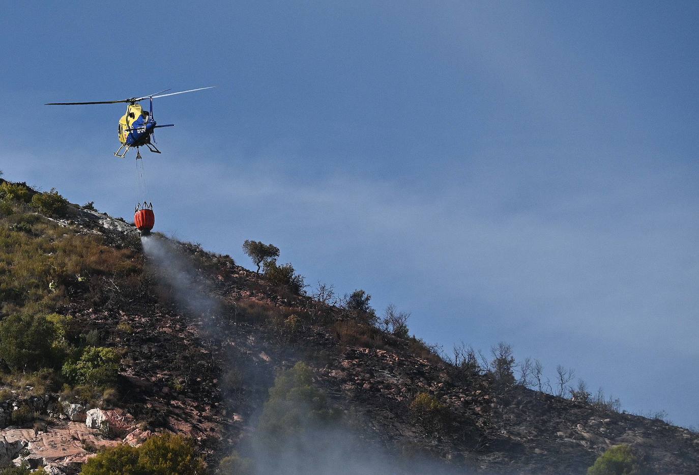 Incendio forestal en el paraje Sierra Blanca, en Ojén. 