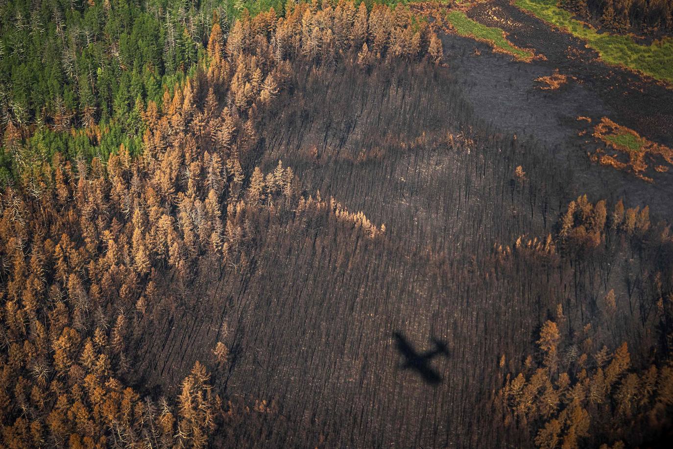 Ftografía aérea tomada el 27 de julio de 2021 muestra la sombra de un avión del Air Forest Protection Service sobrevolando un bosque quemado en la república de Sakha en las afueras del pueblo de Berdigestyakh, en la república de Sakha, Siberia. Rusia estuvo plagada de incendios forestales generalizados este verano, siendo la región de Sakha-Yakutia, en Siberia, la más afectada.