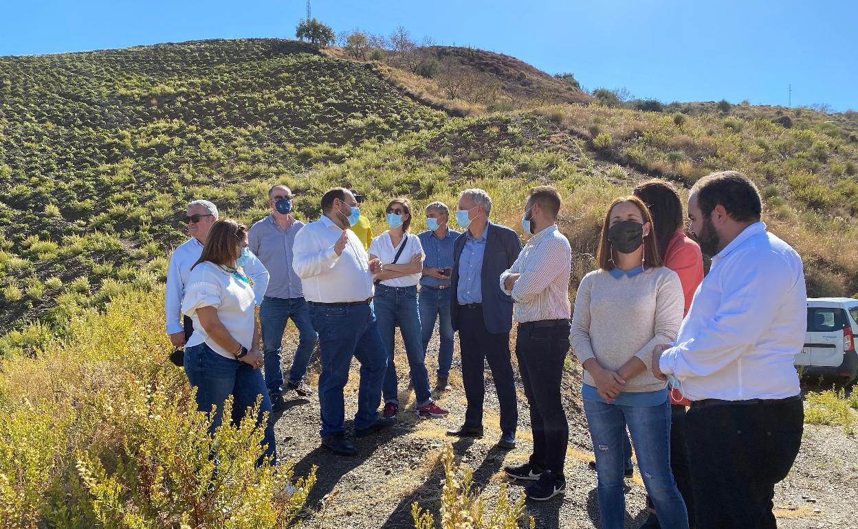 Un momento de la visita del director general de Consumo, Rafael Escudero, a los viñedos de la Axarquía junto a alcaldes y ediles. 