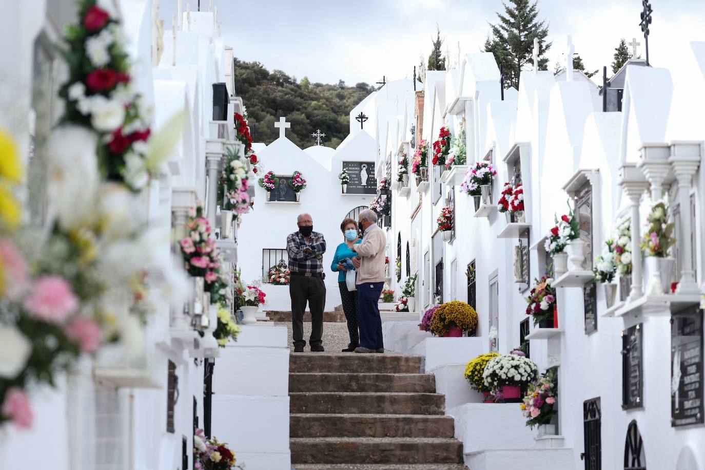 Los cementerios de la provincia vuelven a llenarse de malagueños para honrar la memorias de sus seres queridos, una actividad que el año pasado fue mucho menos multitudinaria por la pandemia. Imagen de Casabermeja. 