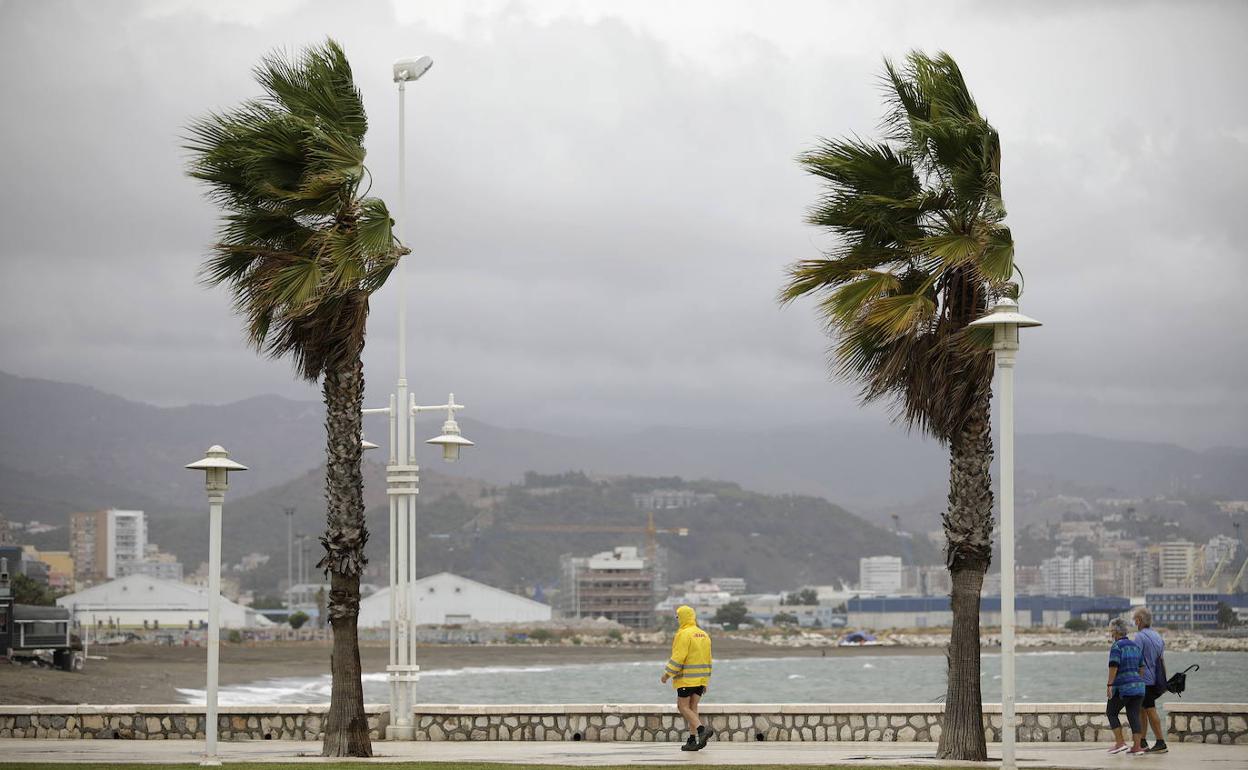 Rachas de hasta 70 Km/h causan una decena de incidencias en Málaga