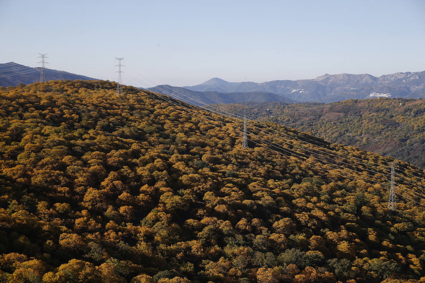 Los bellos colores del otoño en el Valle del Genal. 