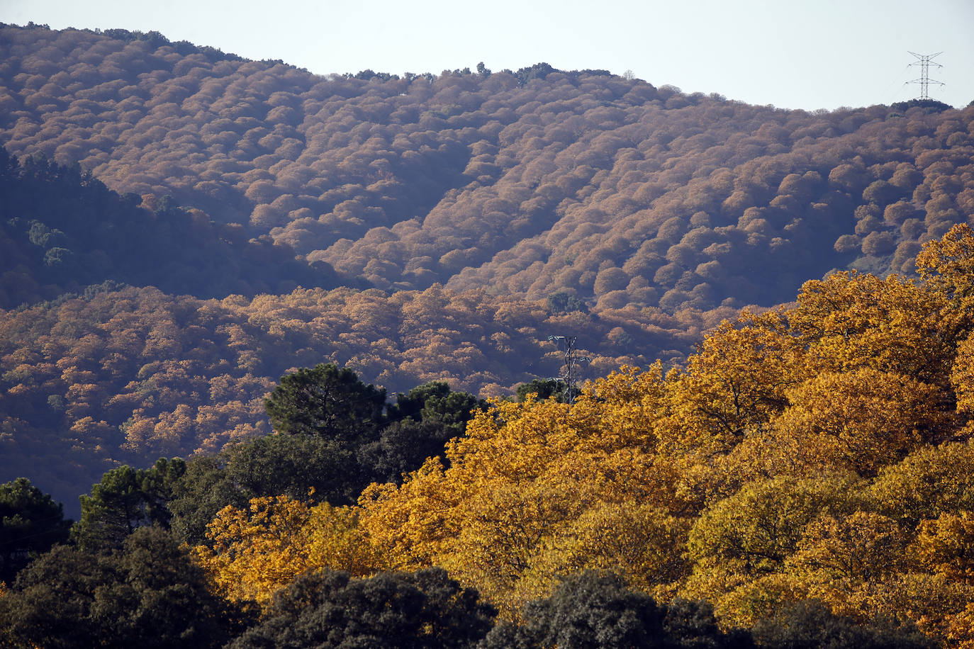 Los bellos colores del otoño en el Valle del Genal. 