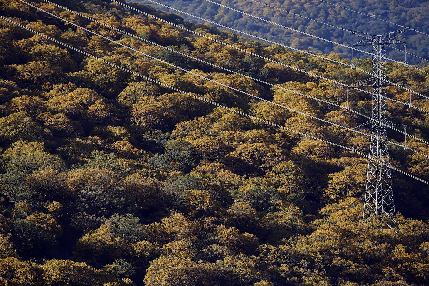 Los bellos colores del otoño en el Valle del Genal. 