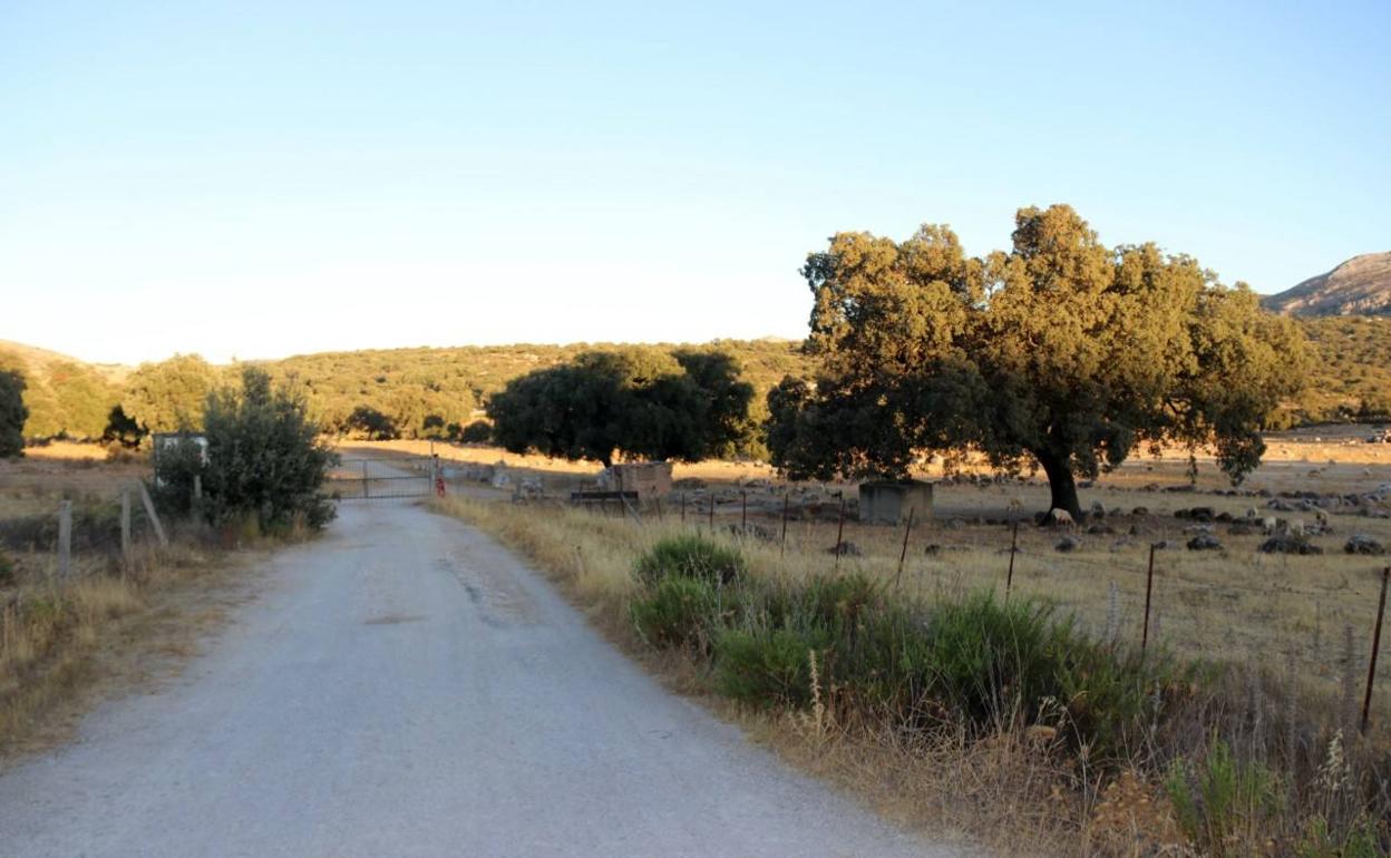 Ronda no tendrá que devolver los 15,5 millones a la promotora de los Merinos