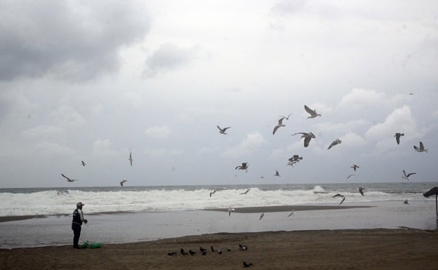 Imagen del temporal este jueves en Marbella. 