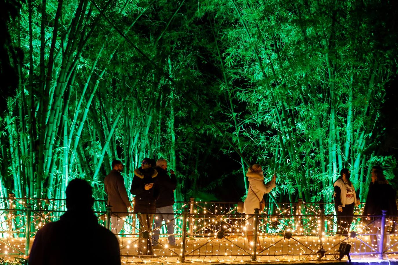 El espectáculo podrá verse hasta el 9 de enero en La Concepción. 