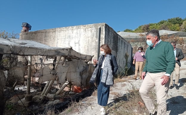 Imagen principal - Tres imágenes de la visita del alcalde y la delegada de la Junta a las zonas afectadas de Maro. 