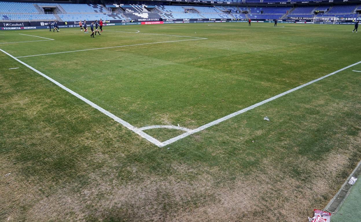 El terreno de juego de La Rosaleda, instantes antes del Málaga-Amorebieta. 