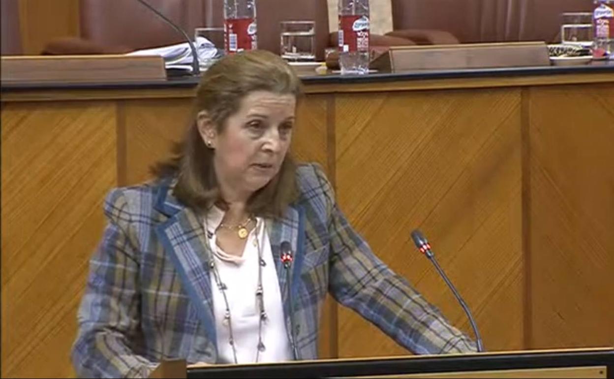 María José Piñero, parlamentaria de Vox.