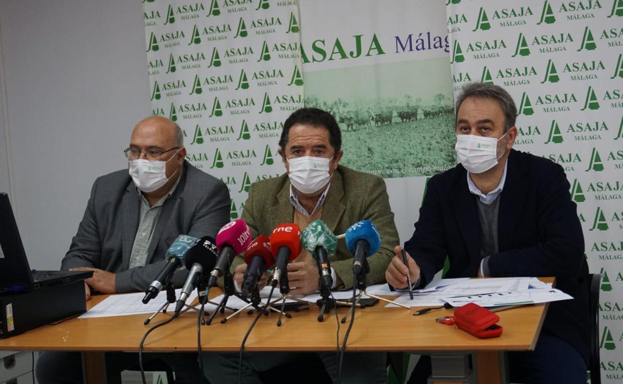 Los responsables de Asaja en Málaga comparecen ante los medios, en la sede provincia de la asociación. 