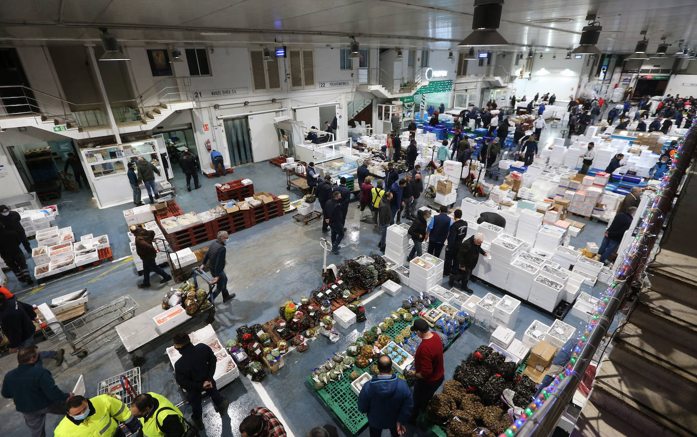 Mercamálaga es un espectáculo de productos frescos de primera calidad 