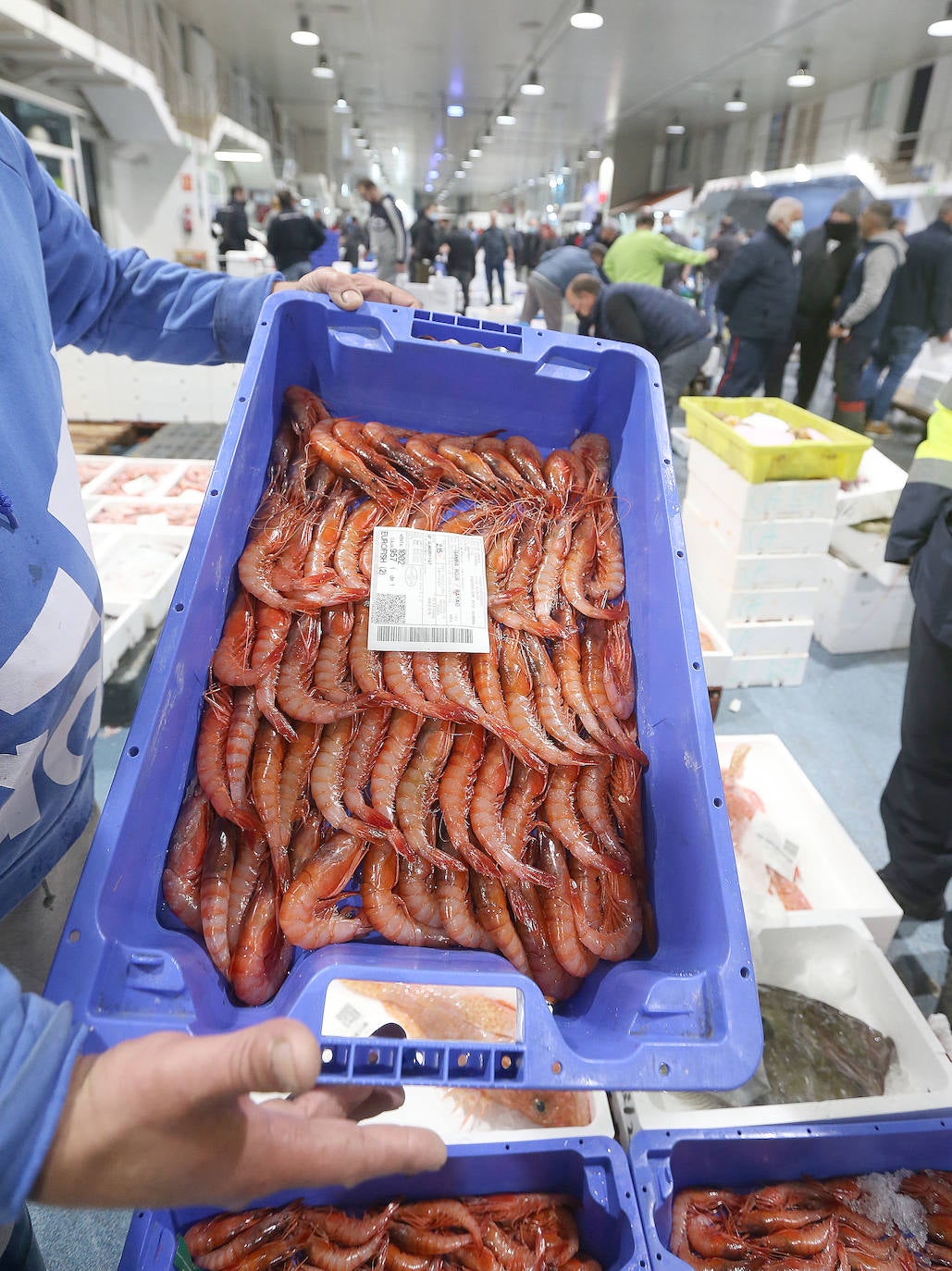 Mercamálaga es un espectáculo de productos frescos de primera calidad 