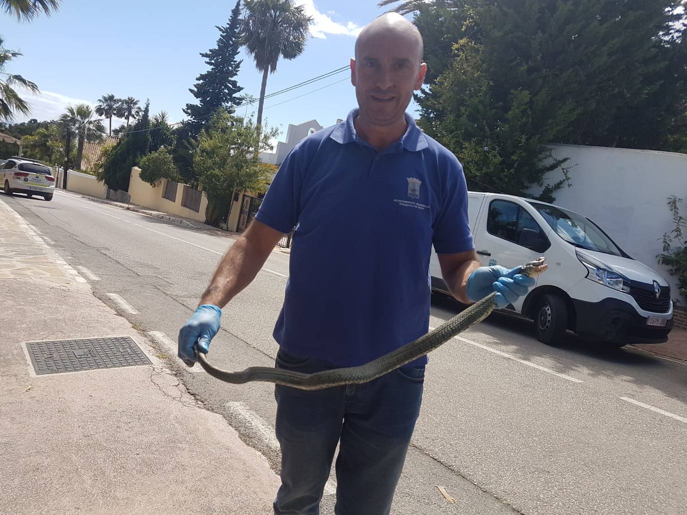 Fotos: El servicio de Sanidad Animal y Ambiental de Marbella ha rescatado este año a más de mil animales vivos